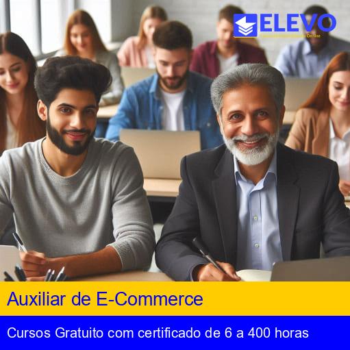 Auxiliar de E-Commerce